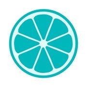 柔和的仿真器_logo