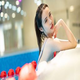 枫与铃：自然之美与文化意义的交融探索